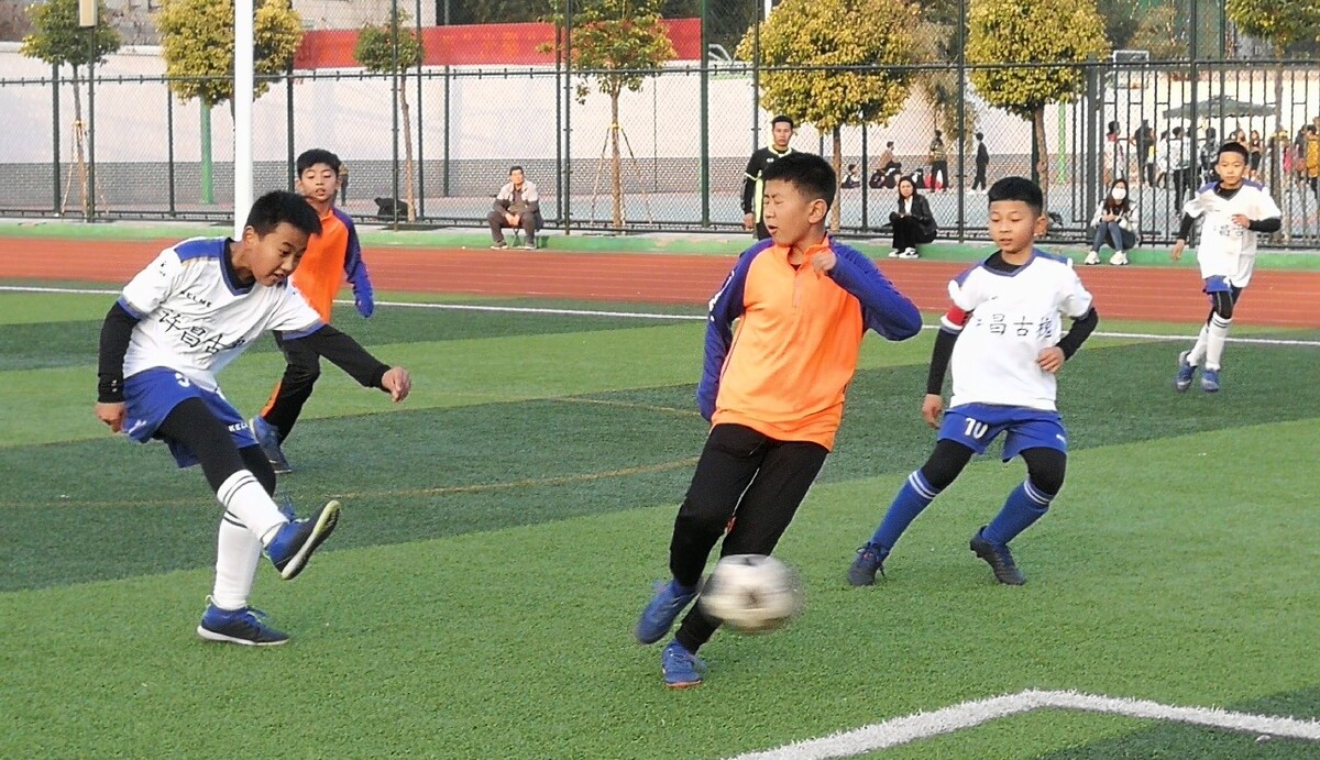 充满活力的 充满活力的