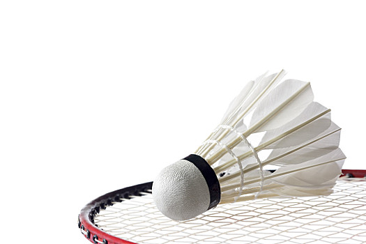 而这种草根 而这种草根